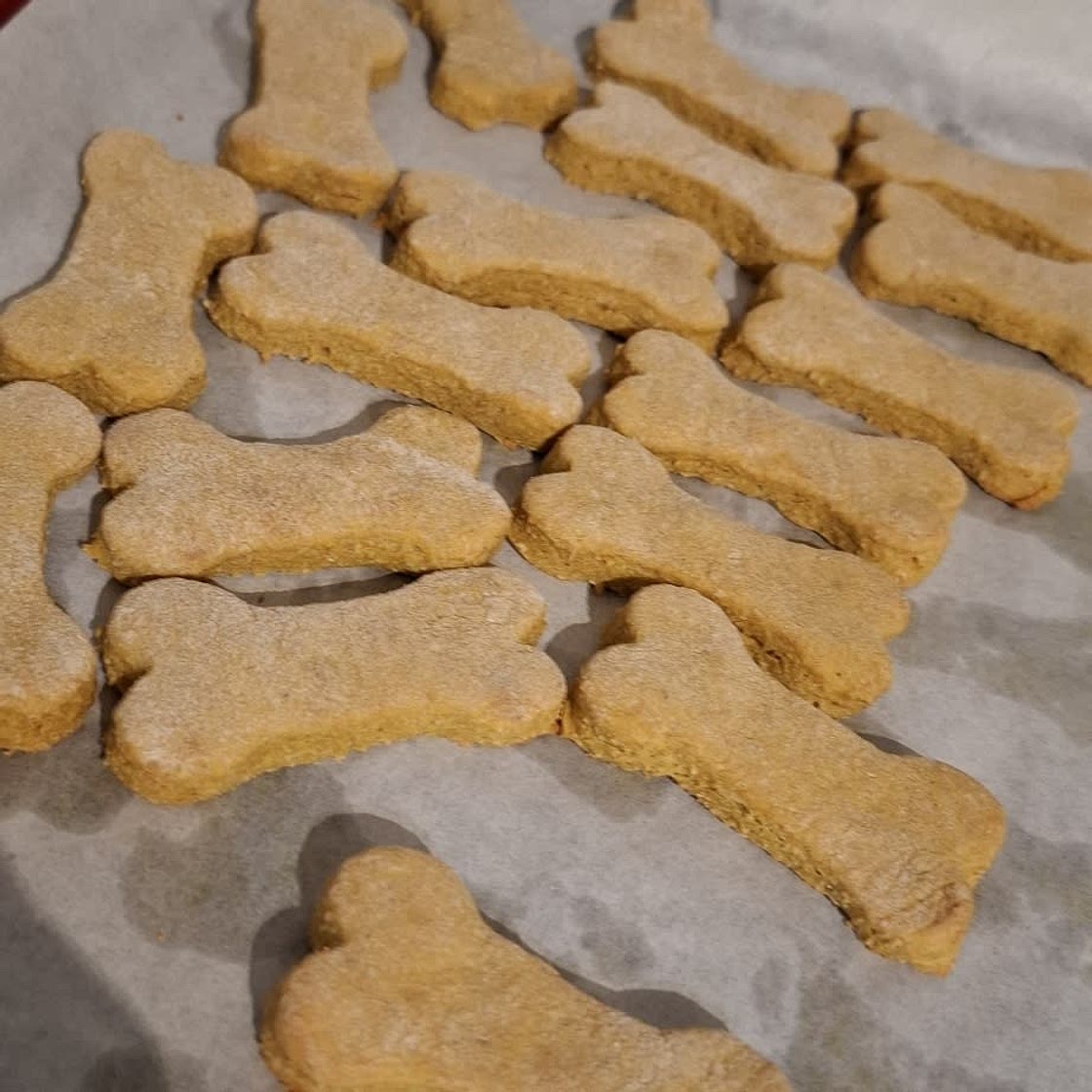 Homemade Dog Treats