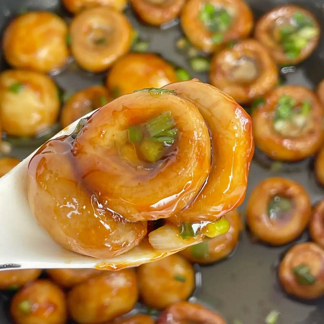 champignons 
