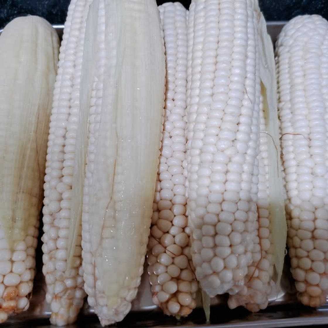 백종원 옥수수 삶는 법