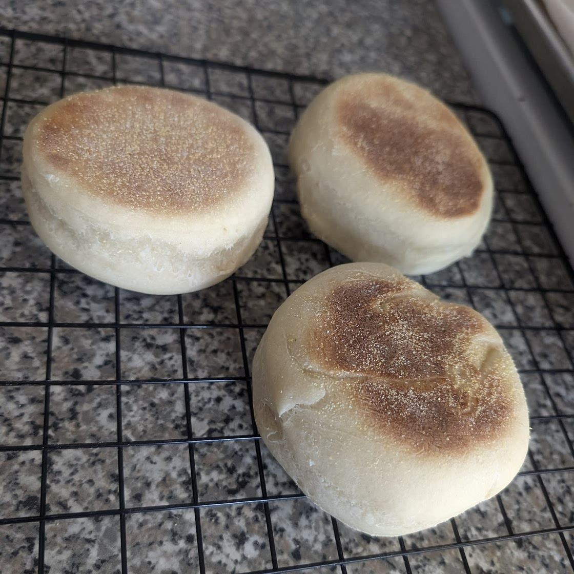 Sourdough English Muffins Recipe