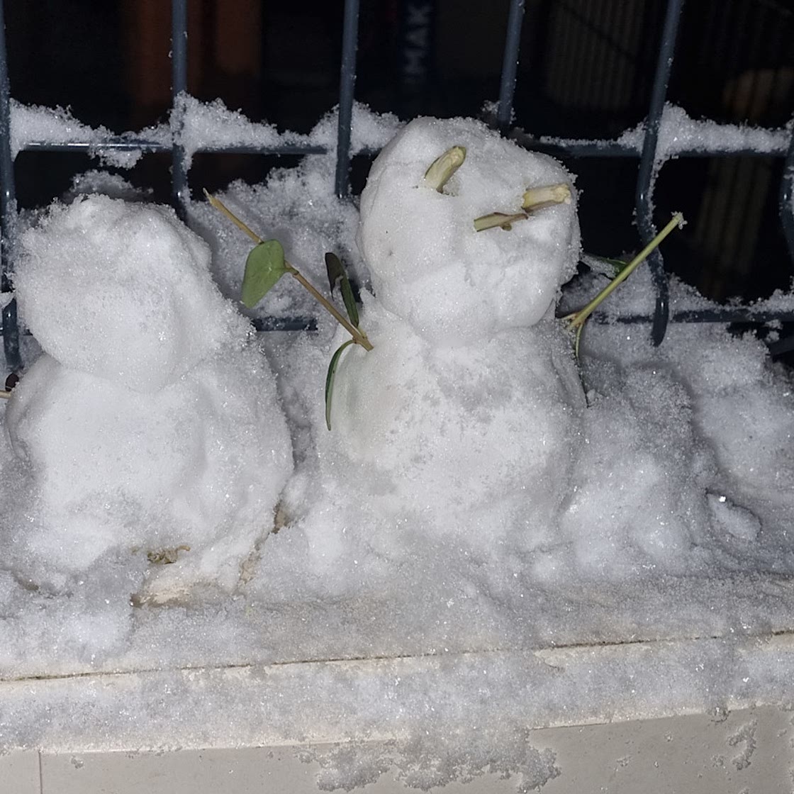 Gratin de chou-fleur