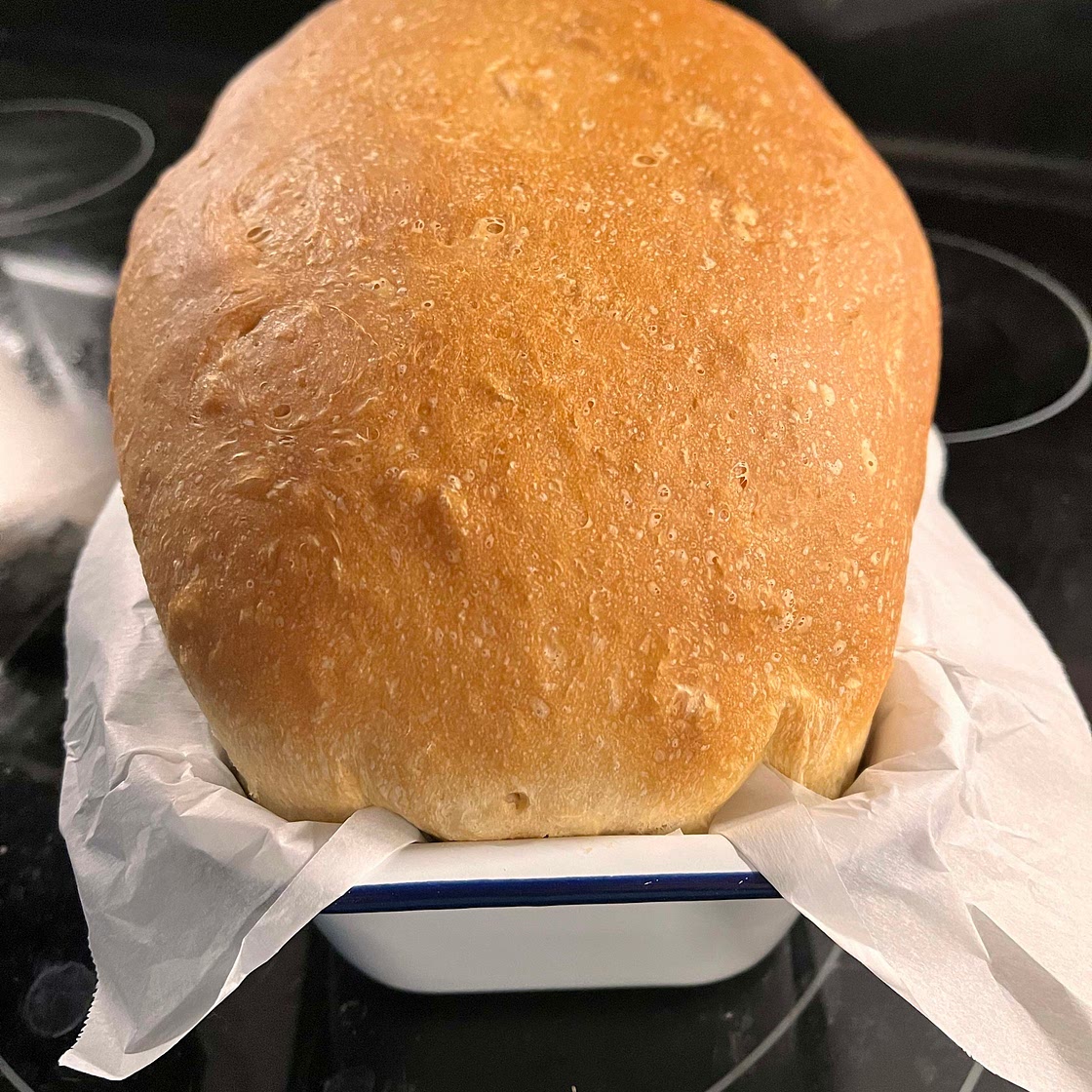 Sandwich Bread/Buns