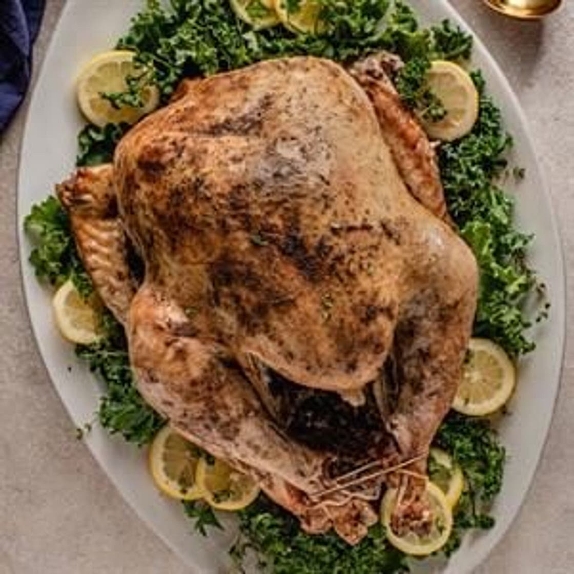 Lemon Herb Turkey