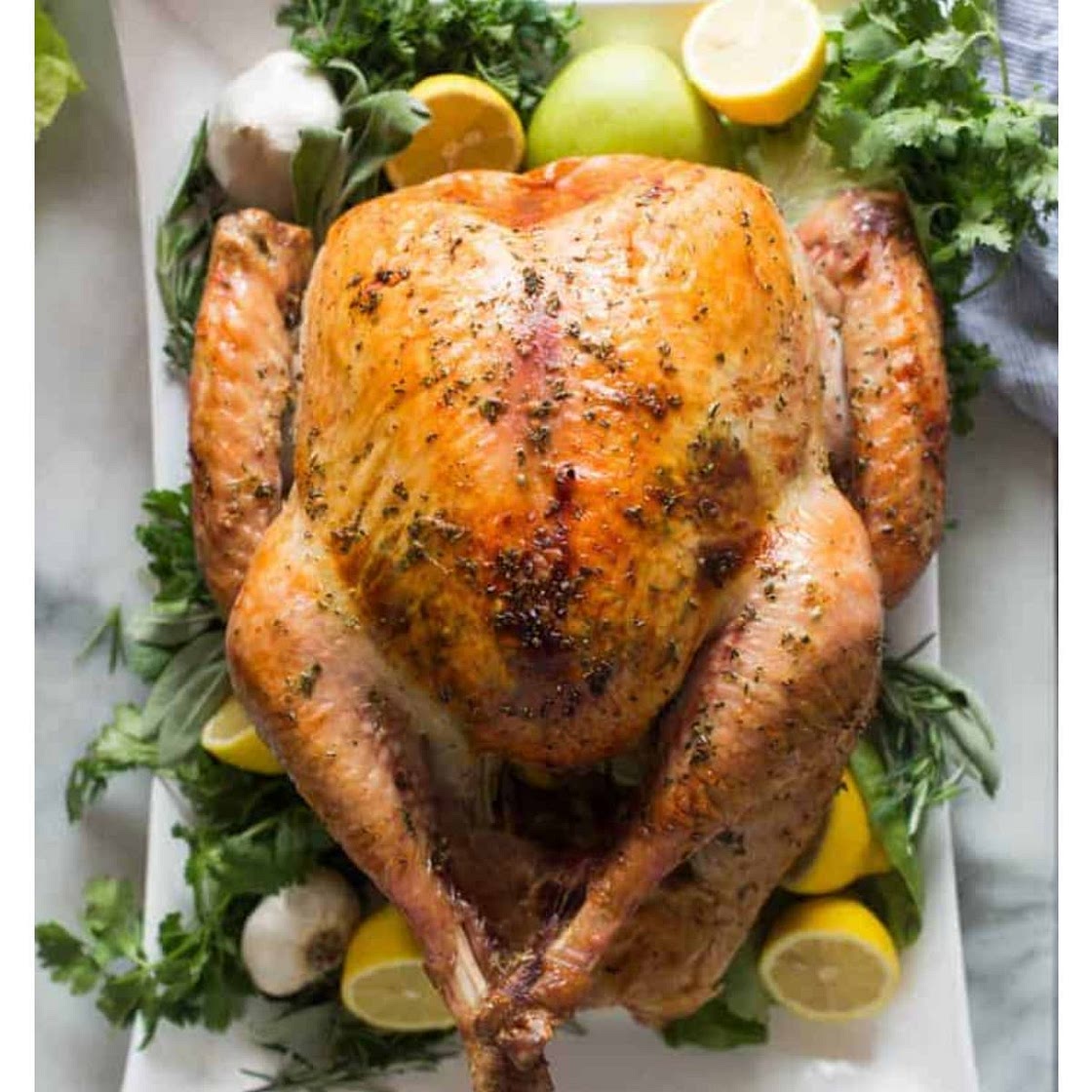 Best Turkey