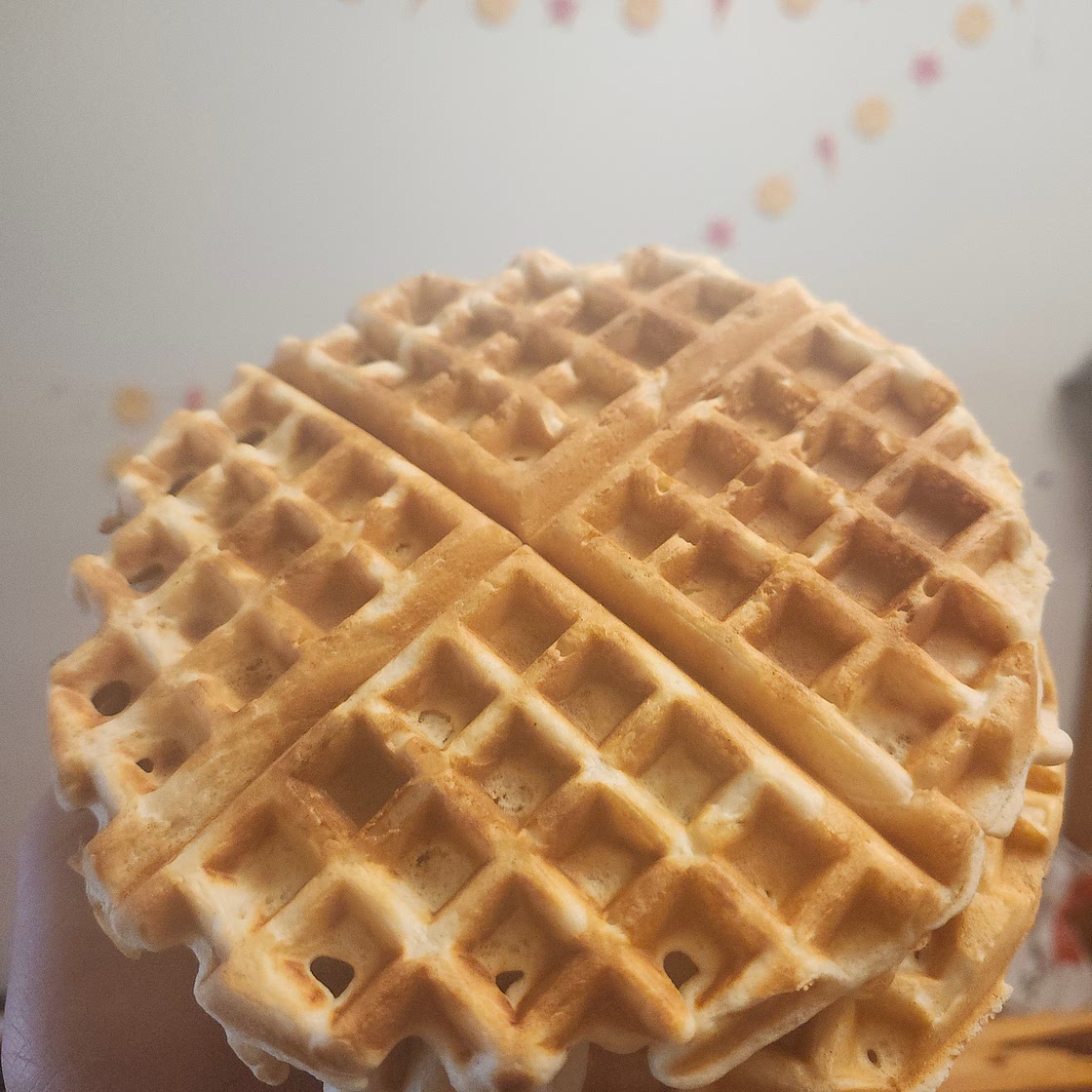 Waffle's Shane Style