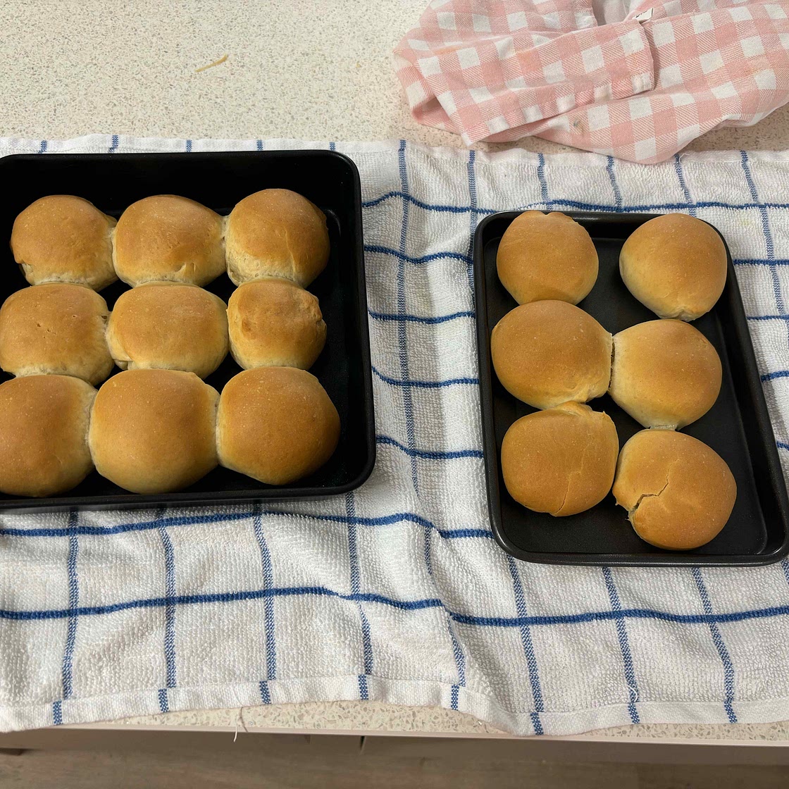 Soft Dinner Rolls Recipe