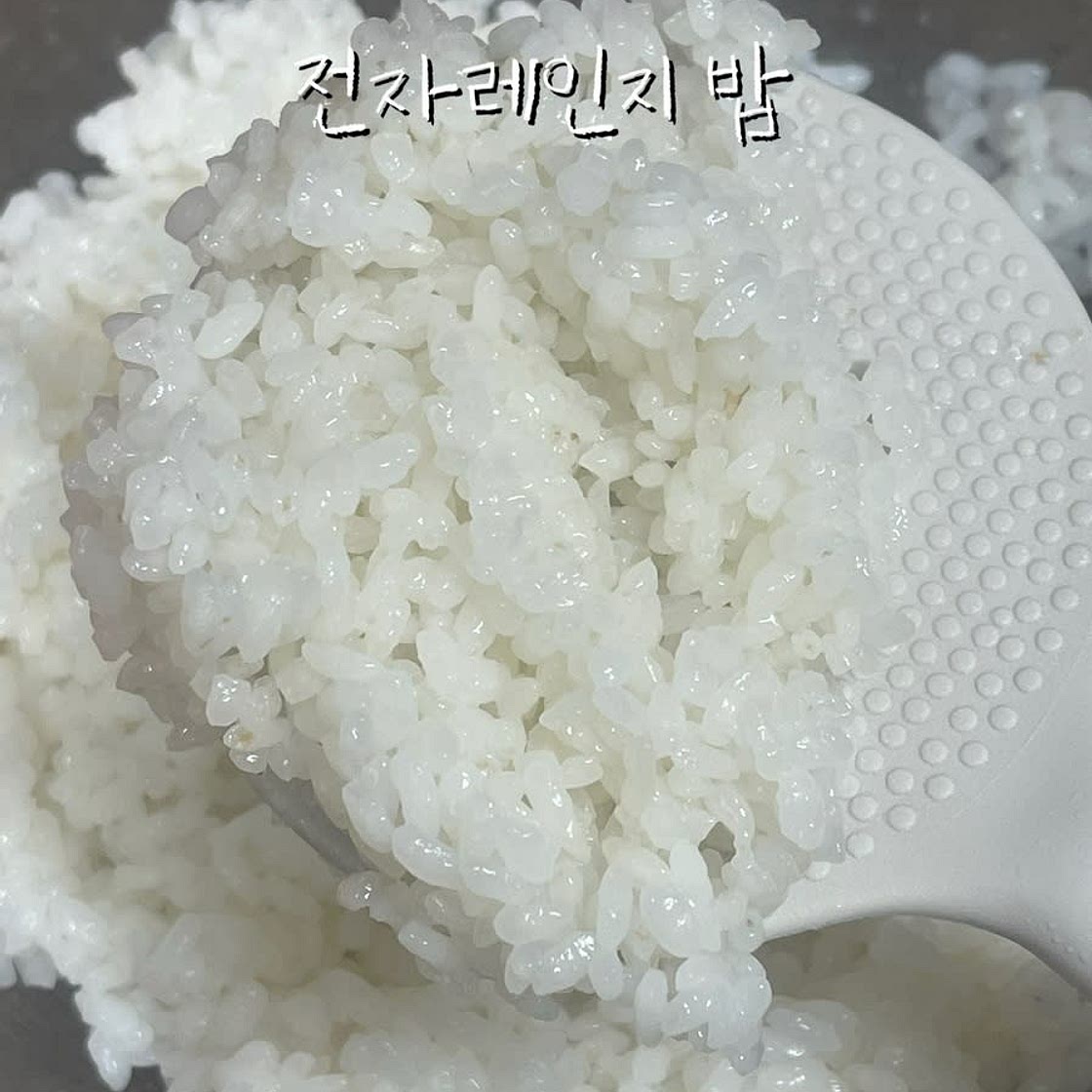 전자레인지 밥하기 밥없을 때 햇반 대신 전자렌지밥 짓는법