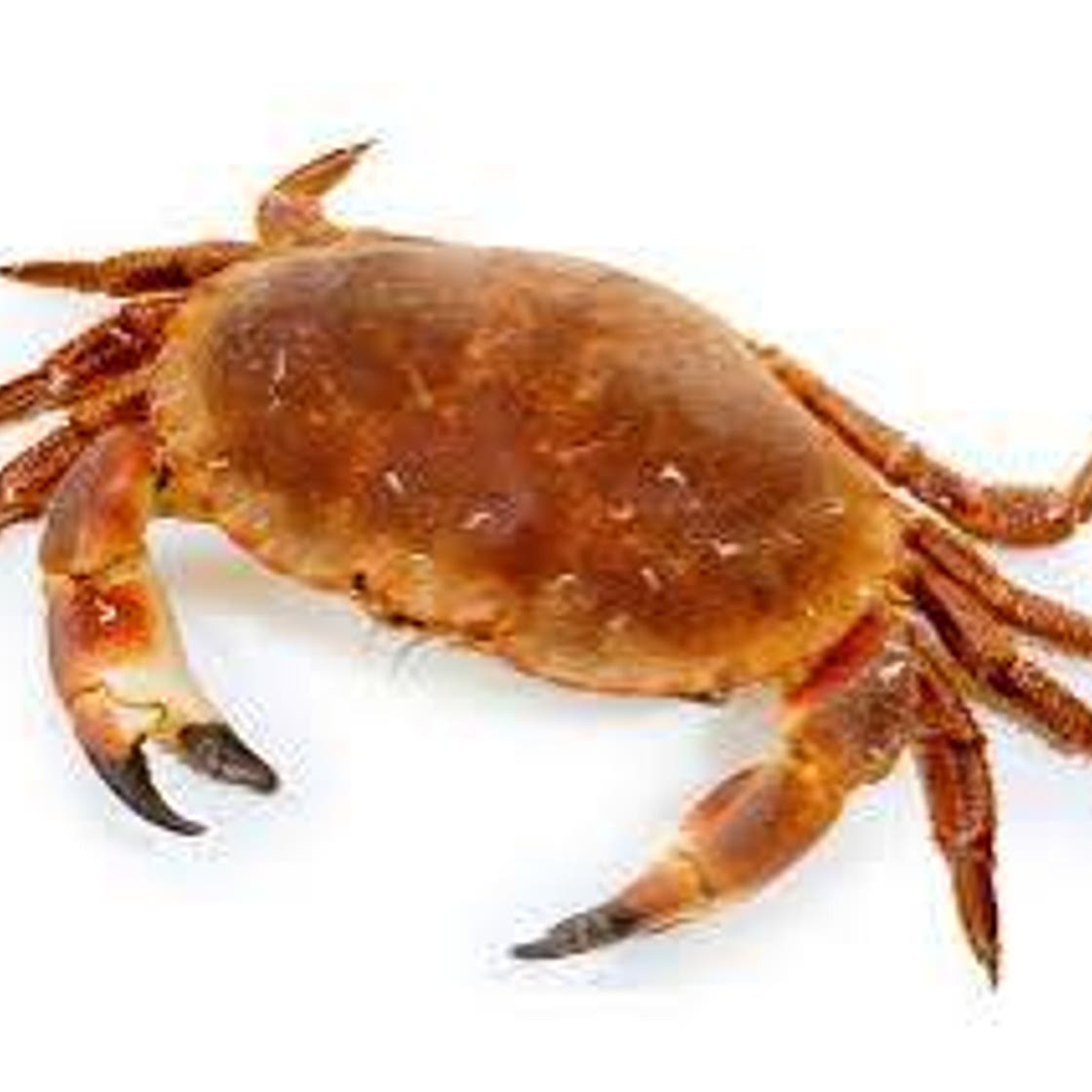 Crab Rice