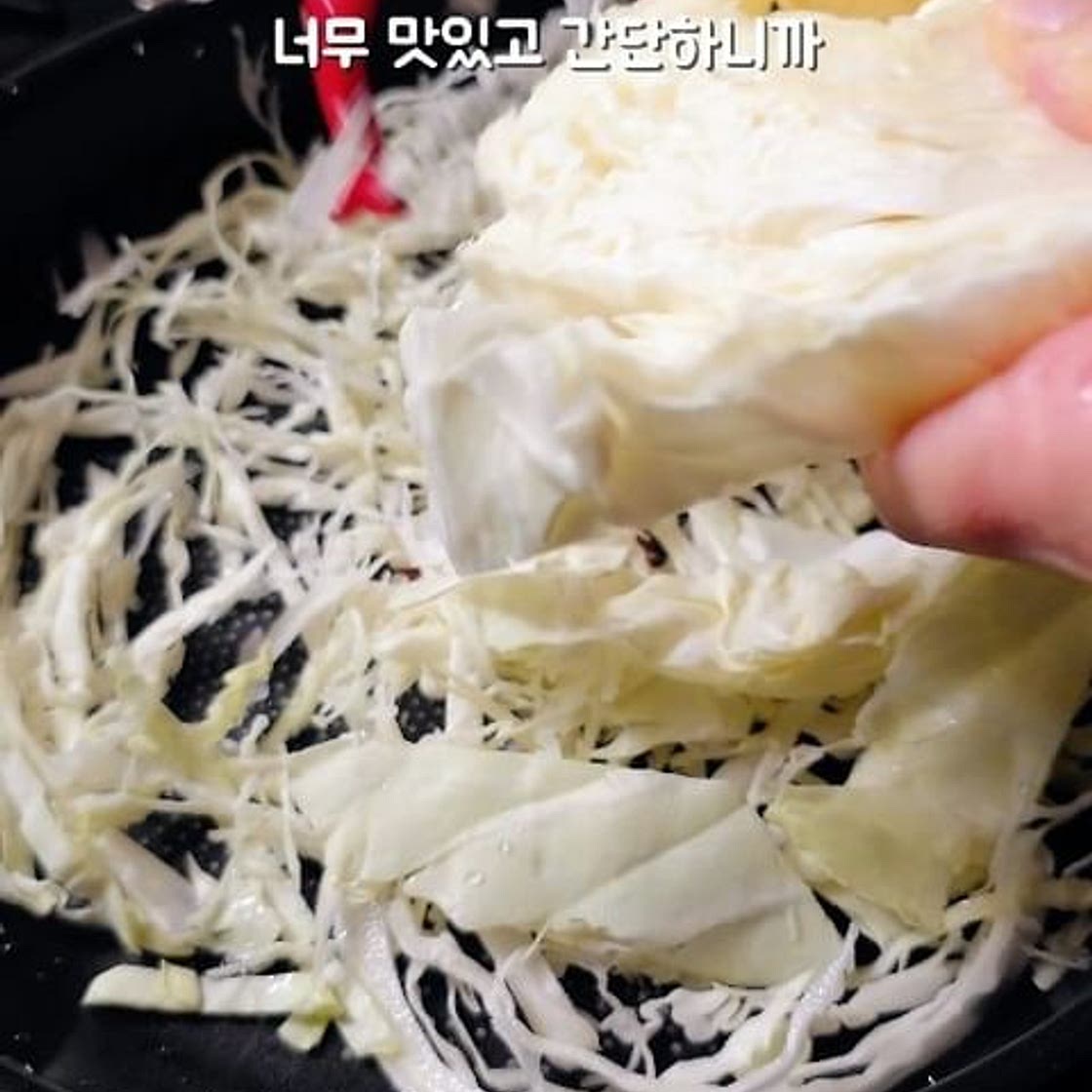 추천받은 콜레스테롤 줄이는 양배추 소고기 즐겨보세요