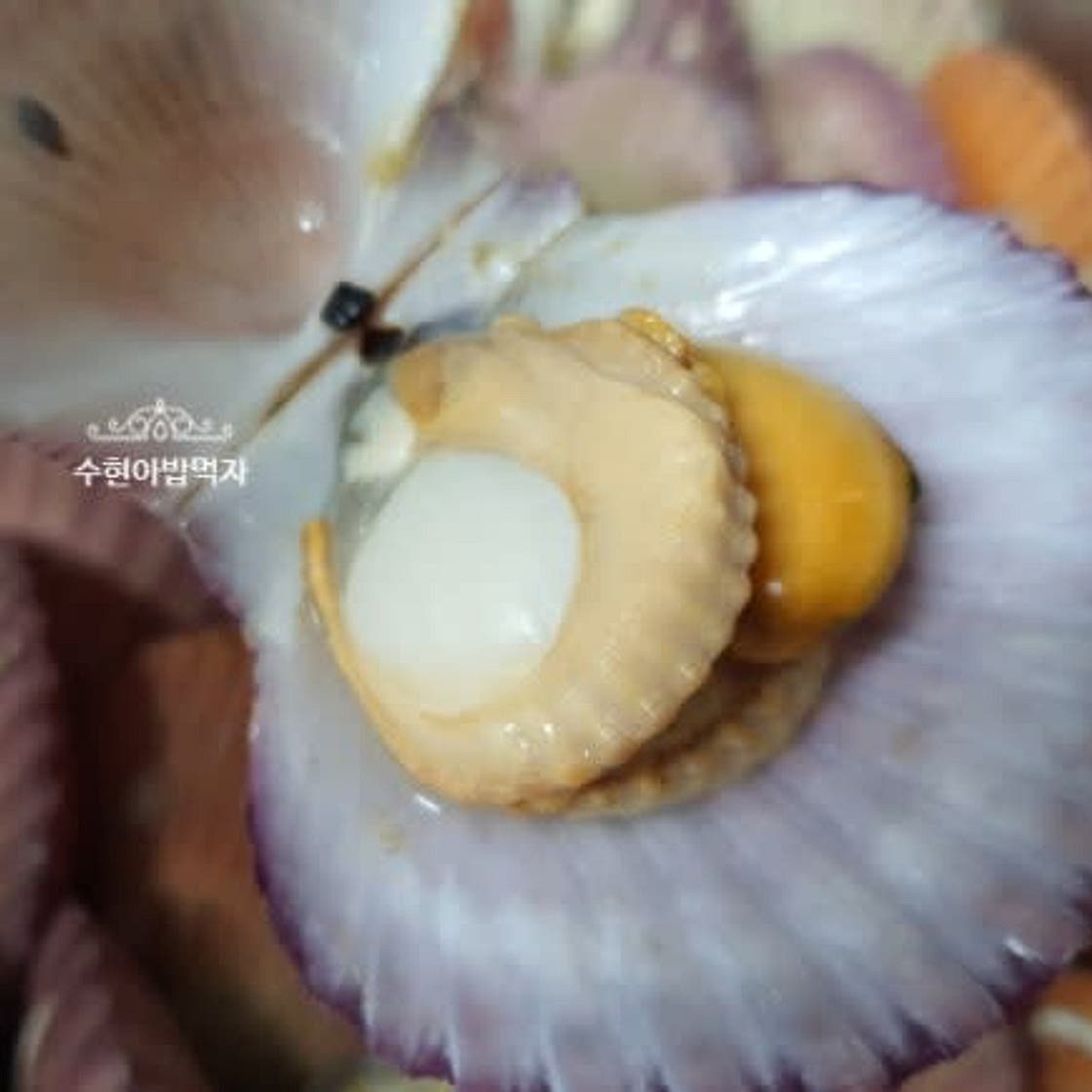 달달한 가리비찜과 양념장 만들기