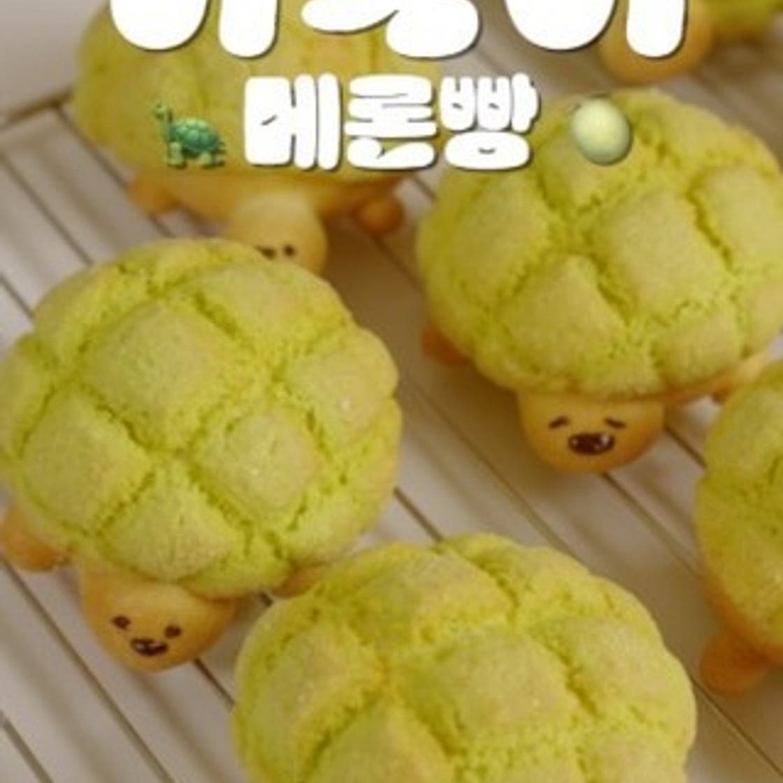 🐢 거북이 메론빵 만드는법