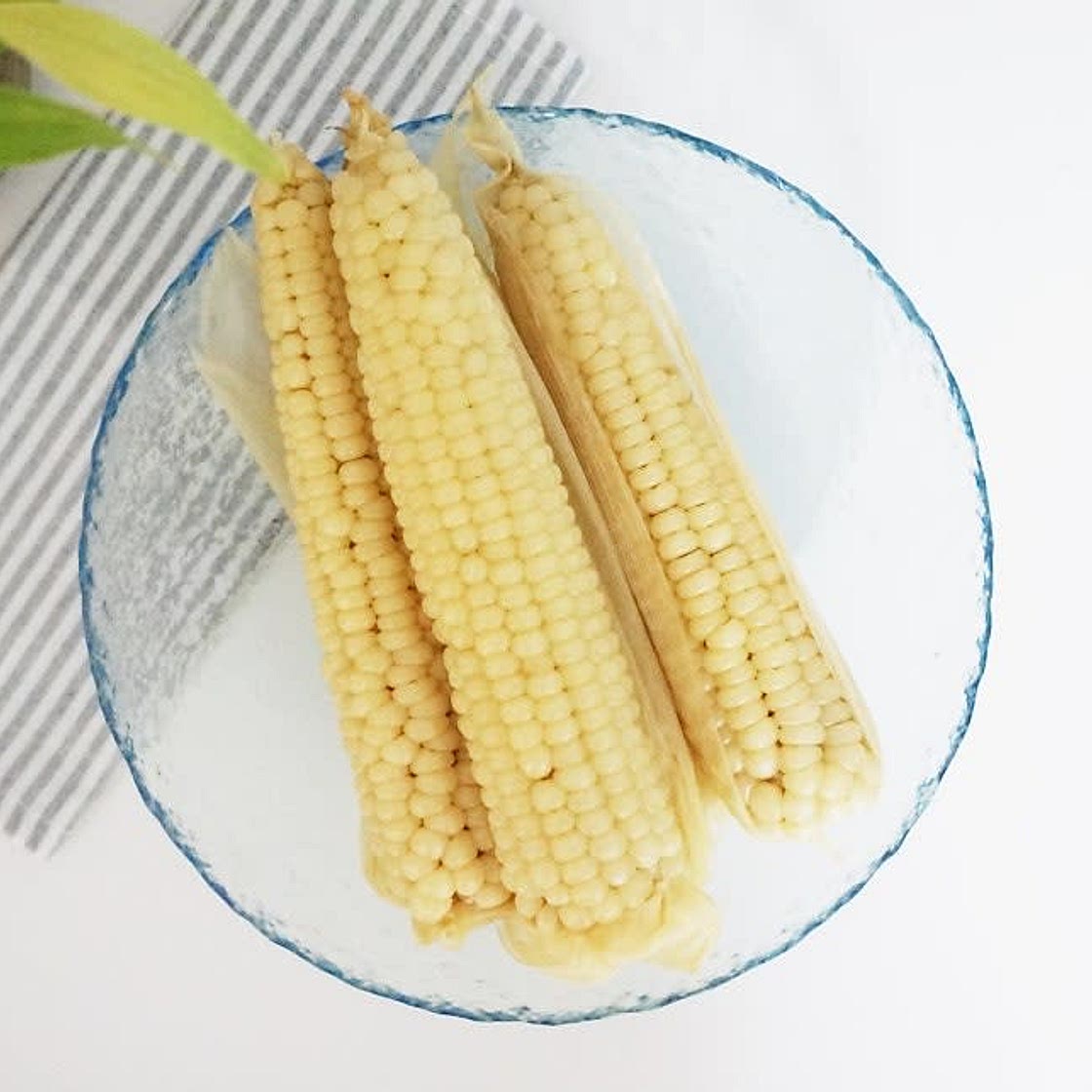 옥수수 삶는법