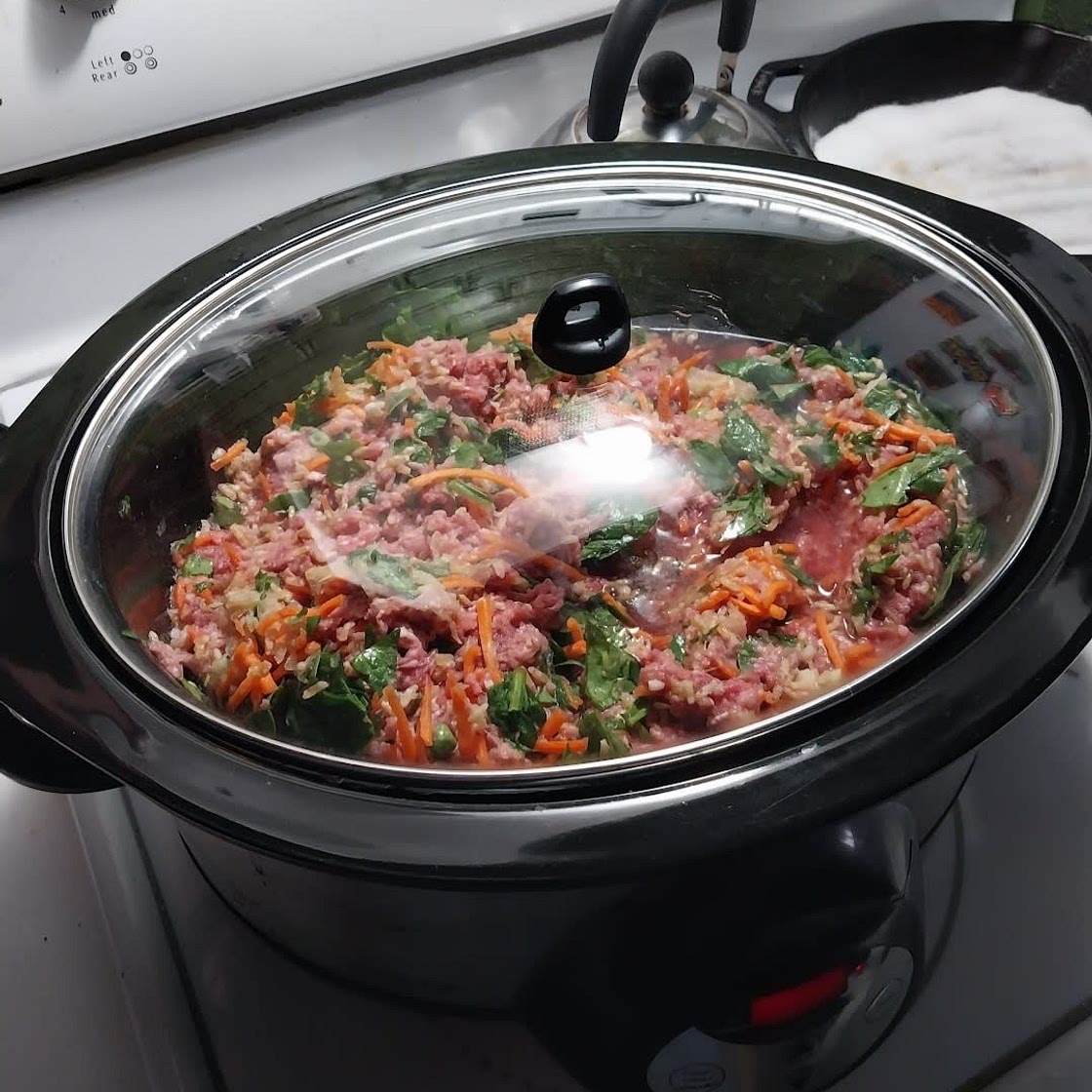 Crock Pot Dog Food - Beef