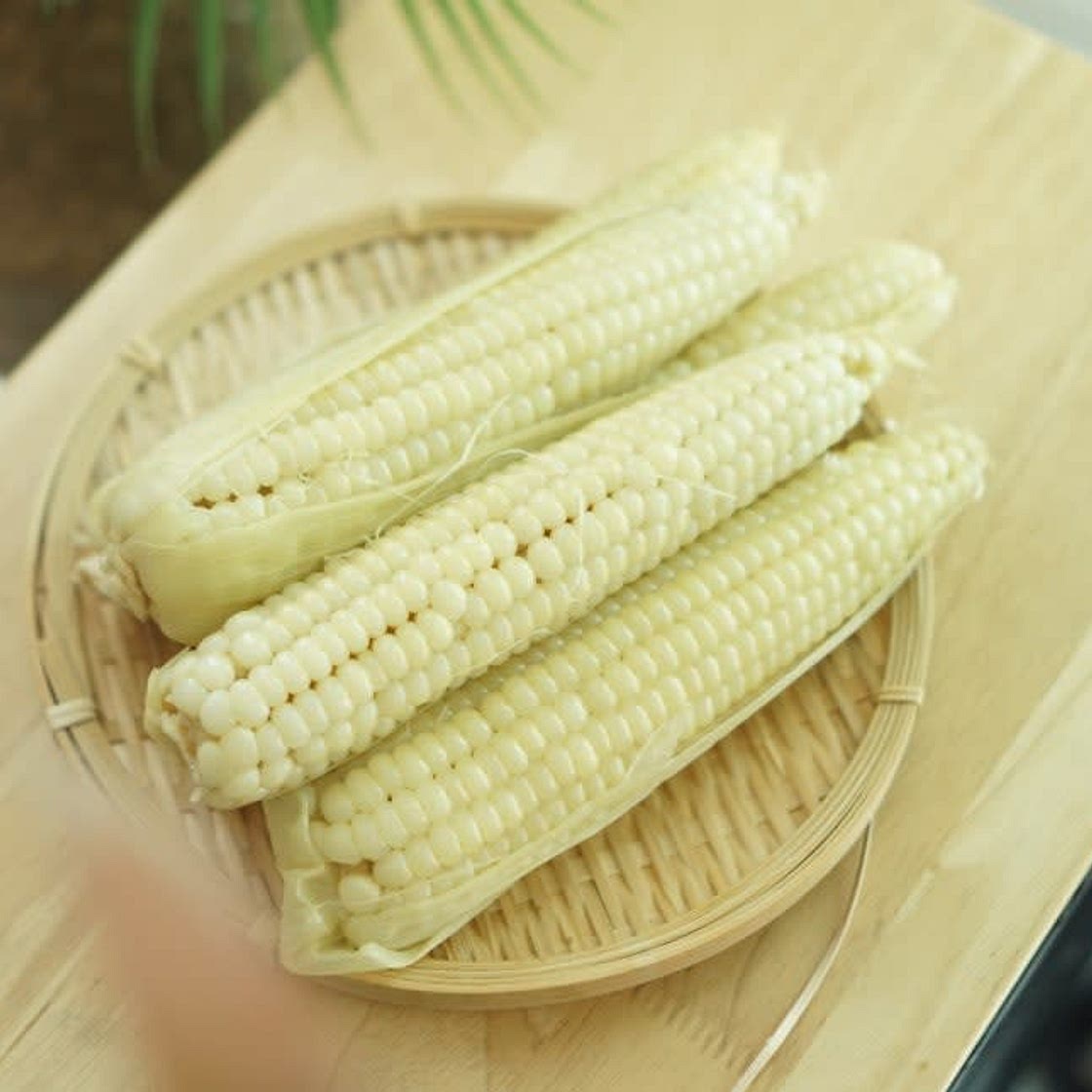 옥수수삶기 대학 찰옥수수 삶는법 삶는시간 알려드립니다