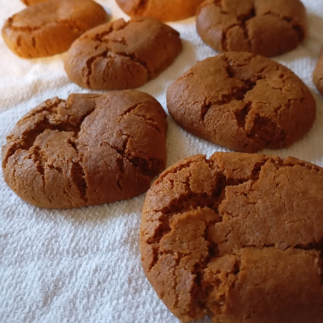 Gingerbread Cookies
