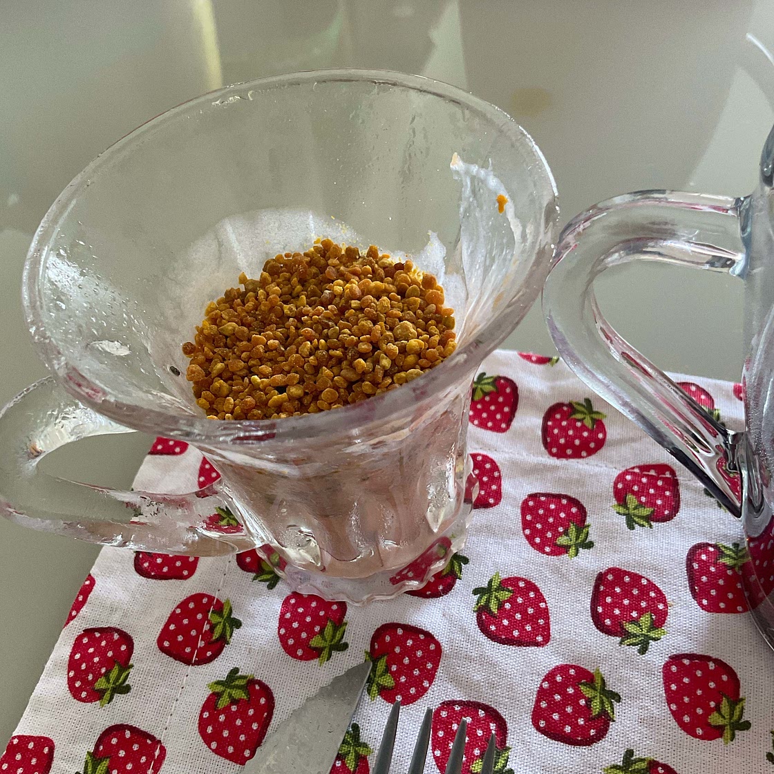Pudding de chia