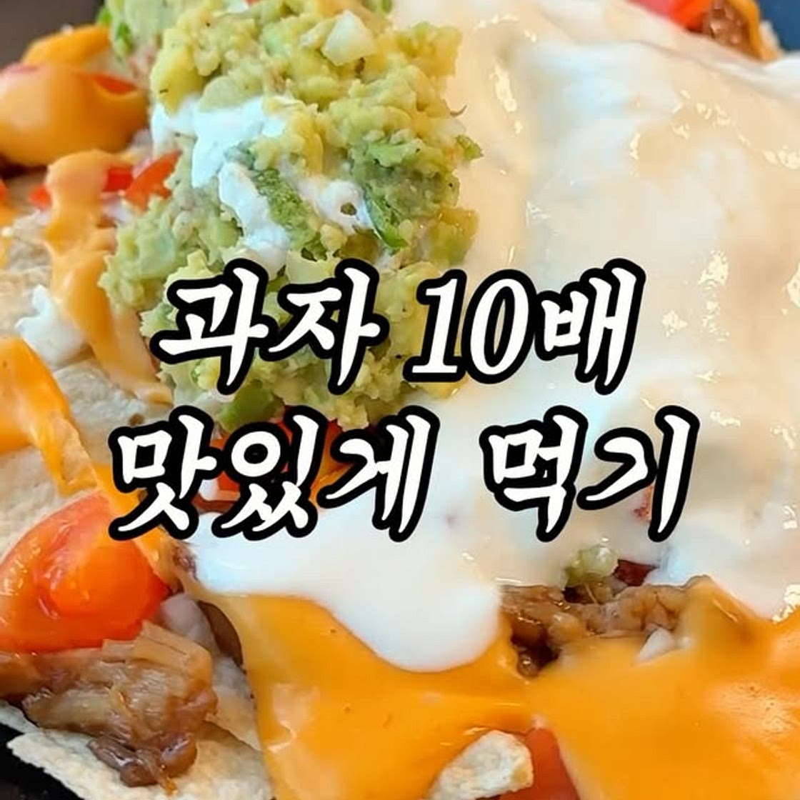 연말 메뉴 고민 한번에 해결
