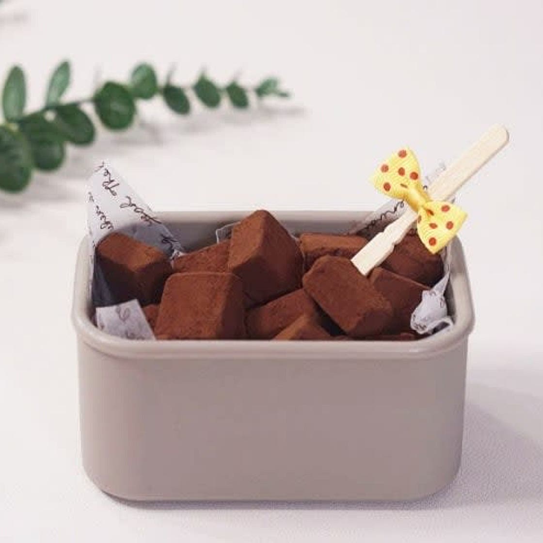 수제초콜릿 생초콜릿 파베초콜릿 만들기