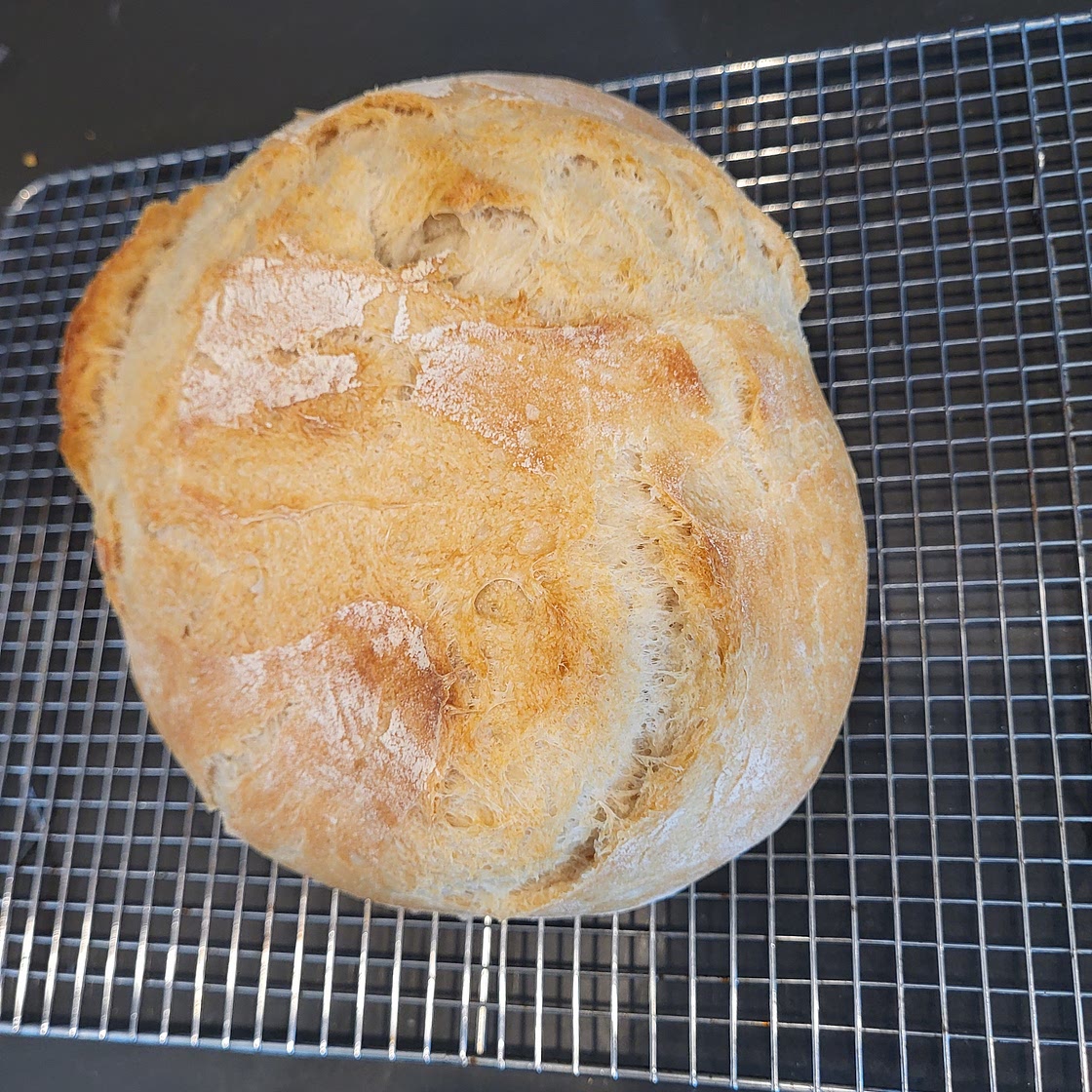 Country loaf (no knead option)