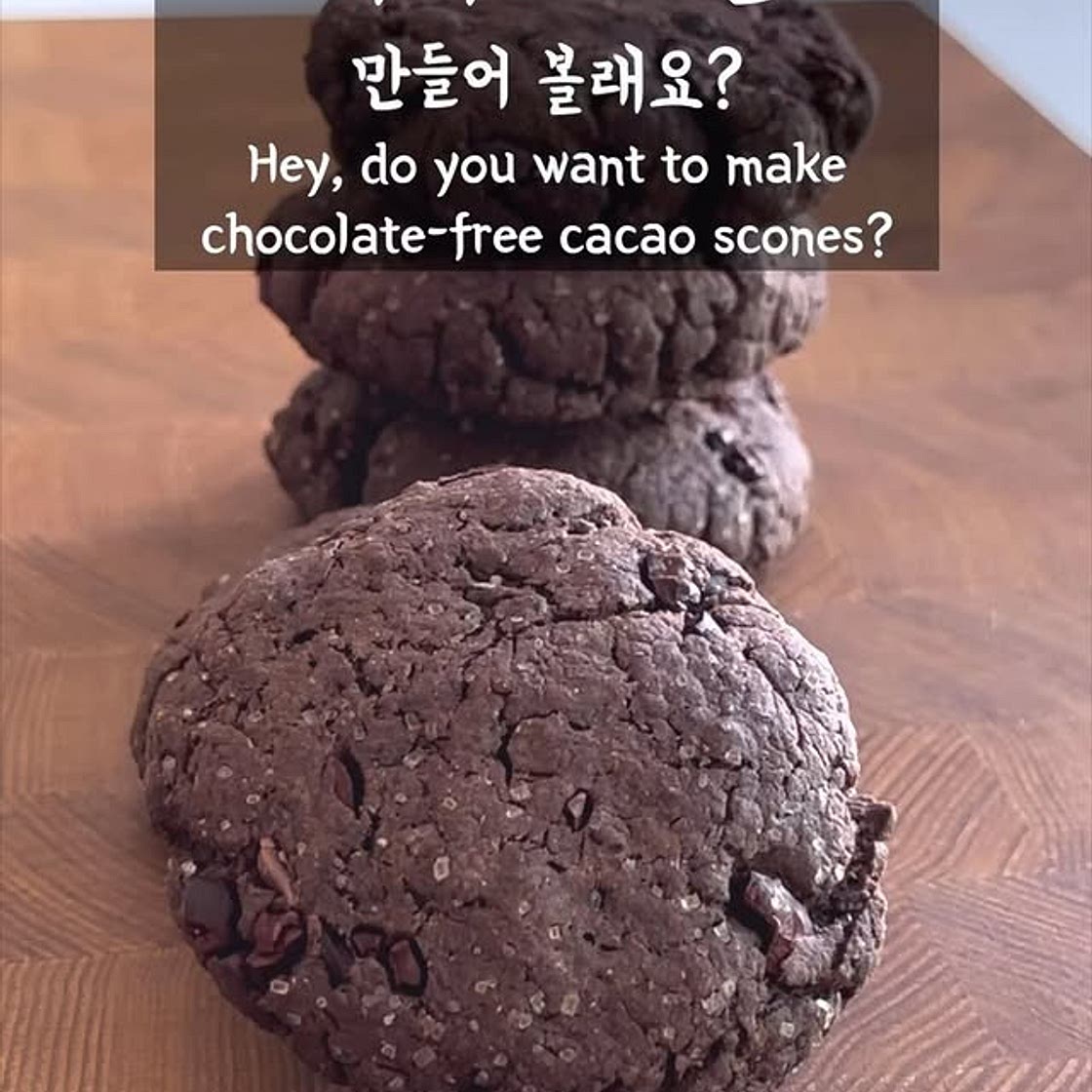 초코 없는 카카오 스콘