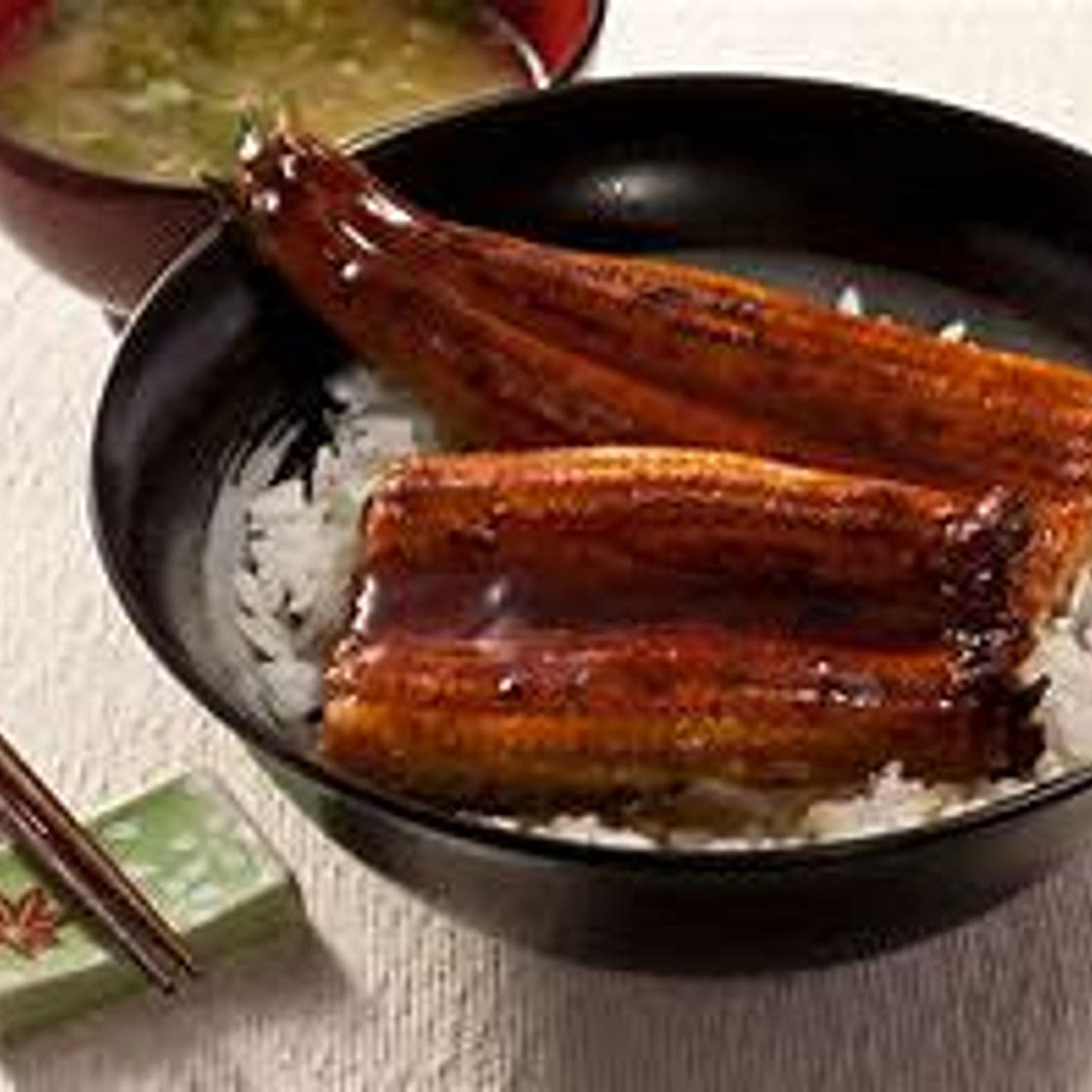 Eel Peixe Hansh