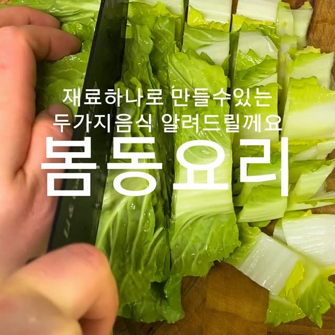 봄동된장국&겉절이