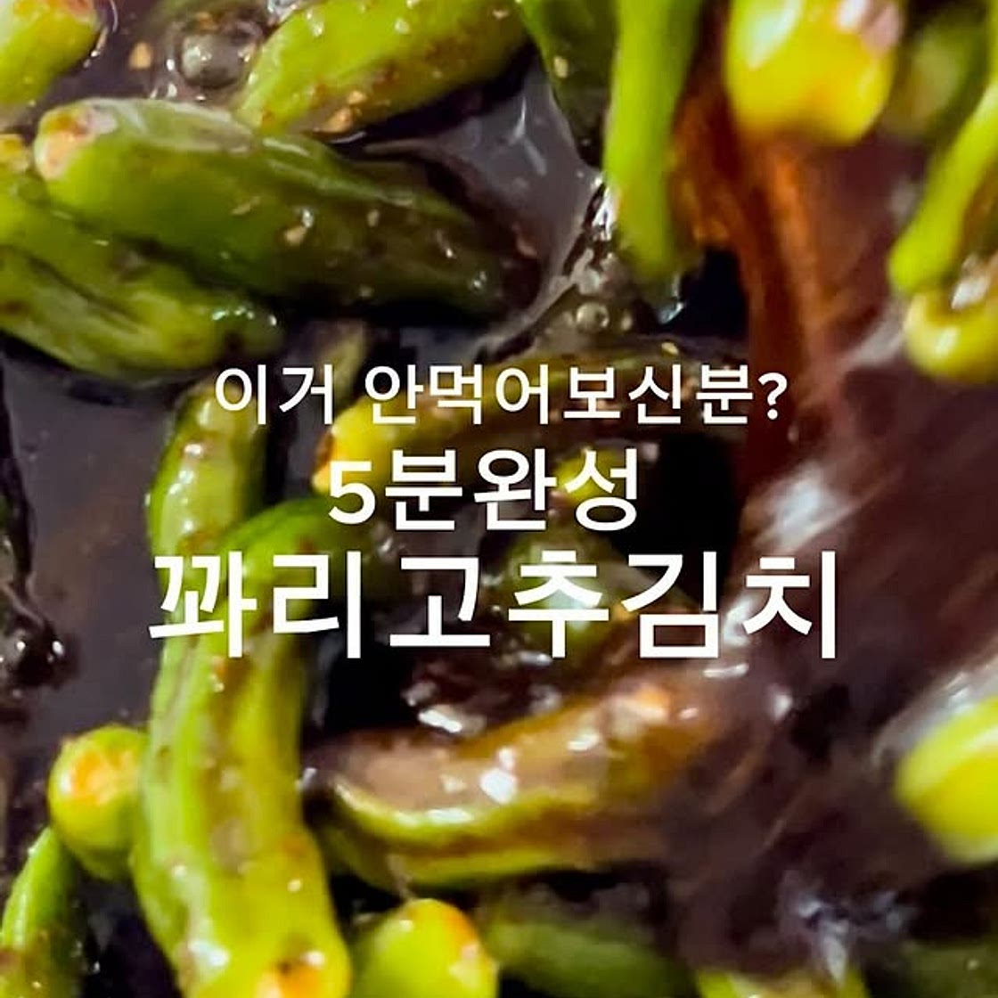 꽈리고추김치