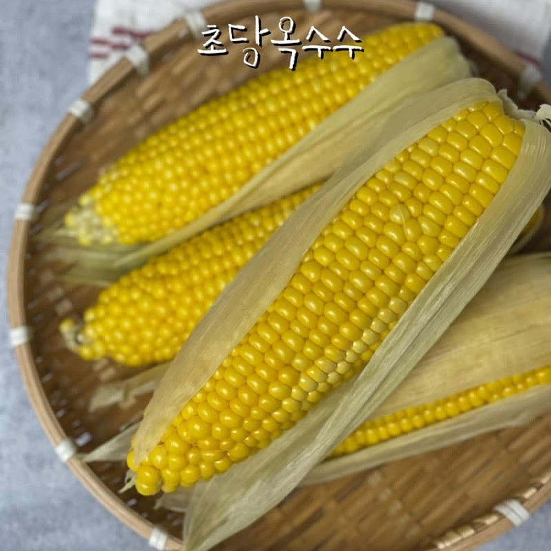 초당옥수수 찌는법 찌는시간 옥수수 맛있게 삶는 방법