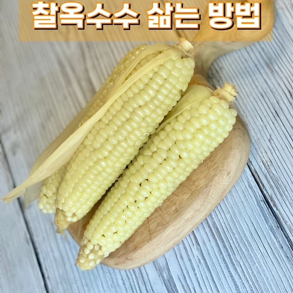 압력솥으로 미백 찰옥수수 삶는 법 옥수수 맛있게 삶기