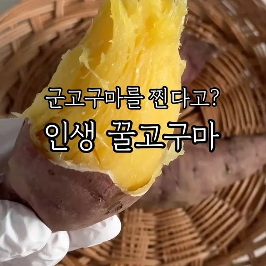 쪄먹는 군고구마? 인생 군고구마 레시피