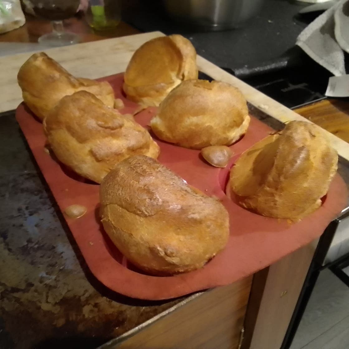 Amazing Yorkies