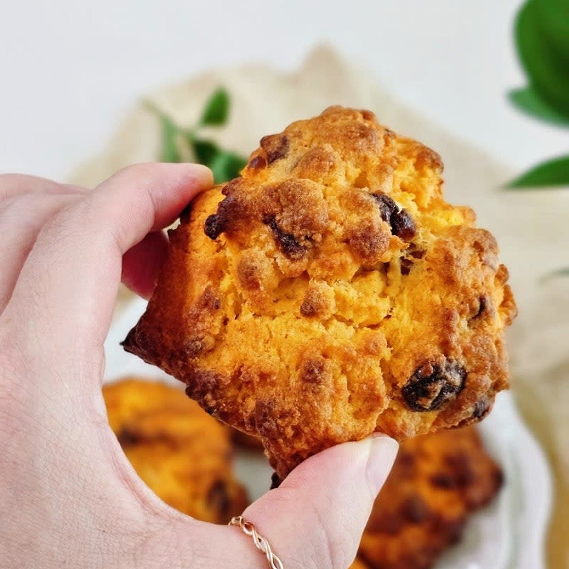 생크림스콘 만들기