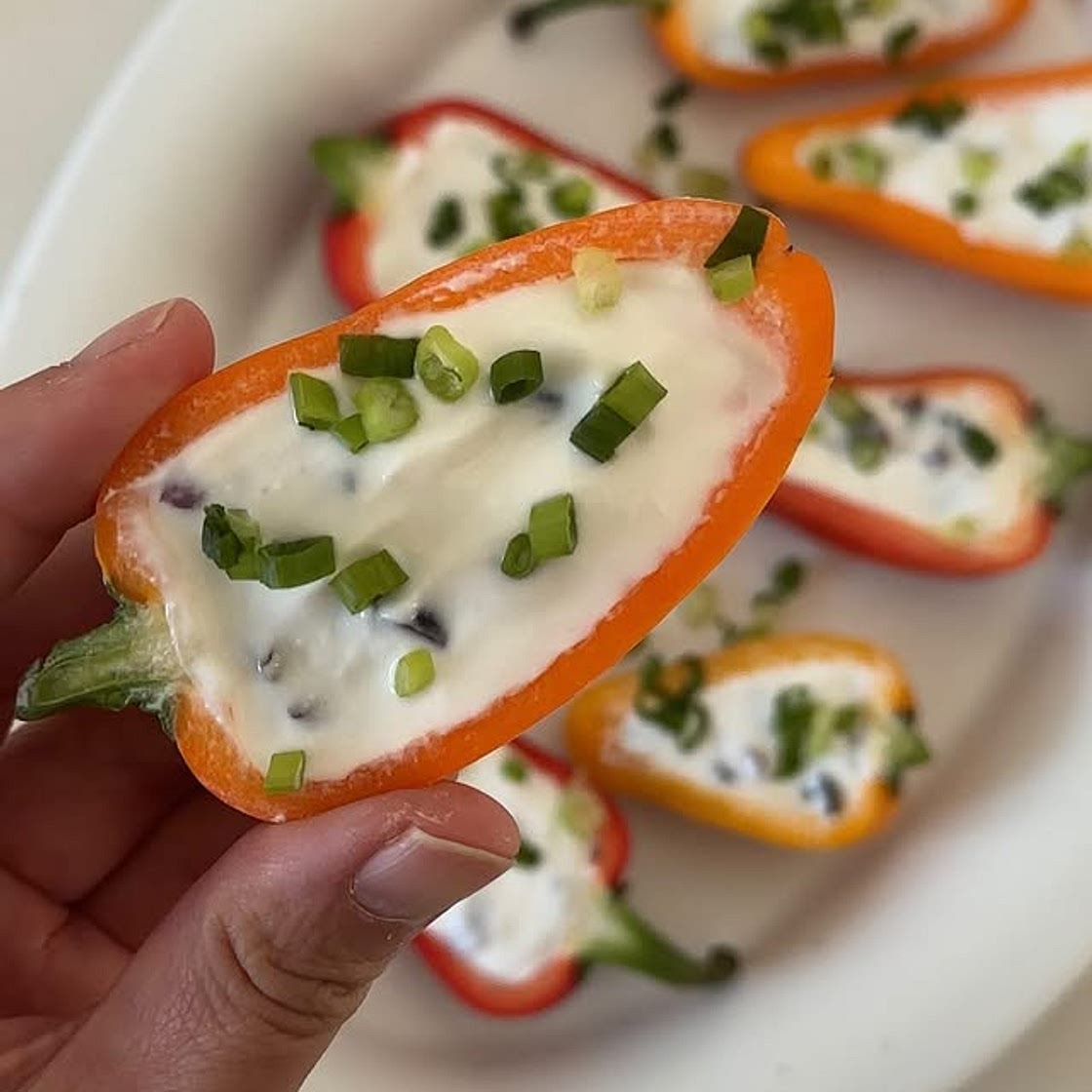 파프리카카나페