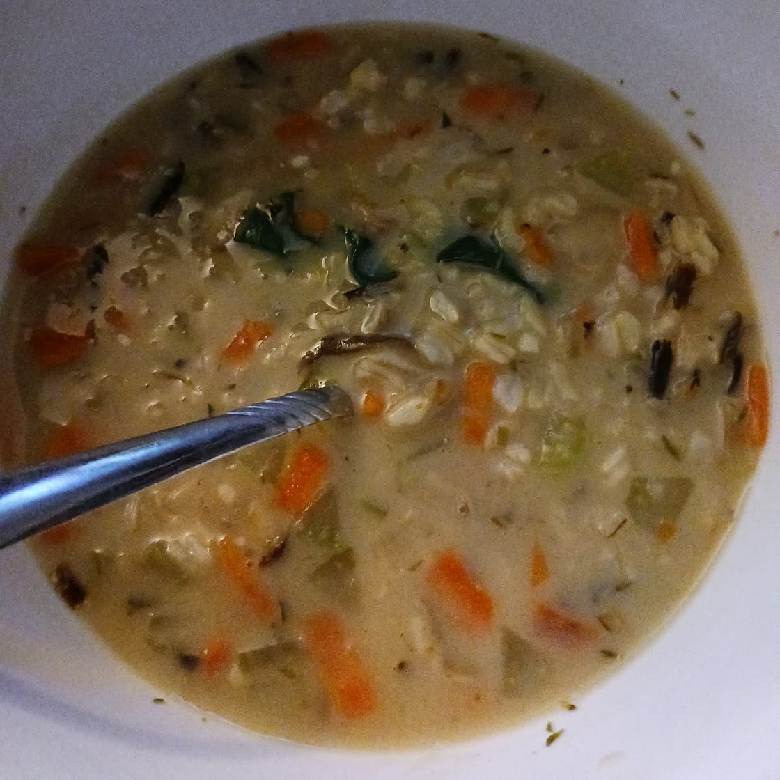 Wild Mushroom and Rice Soup