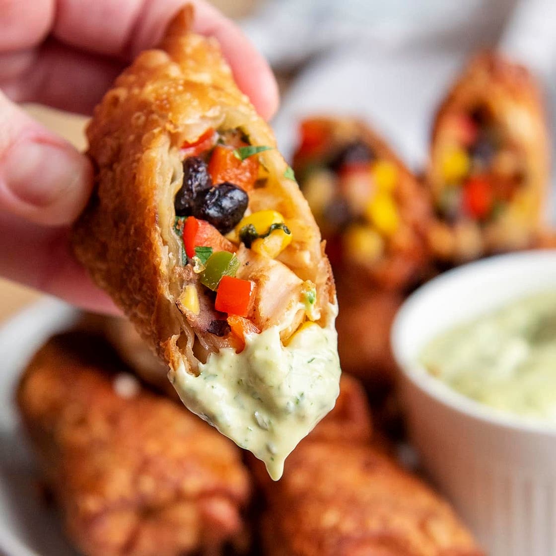 D'licious Southwestern Eggrolls