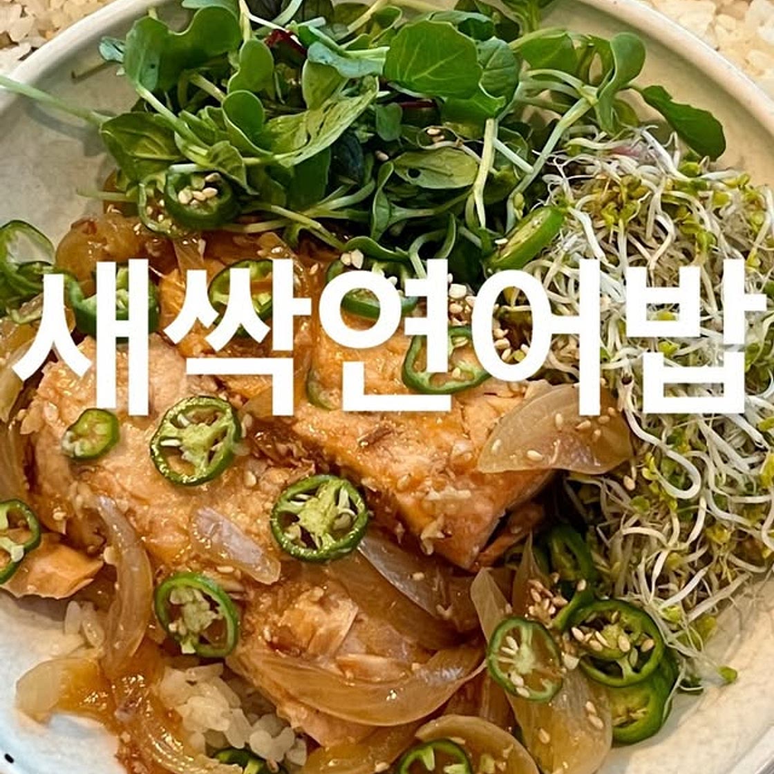 새싹연어밥