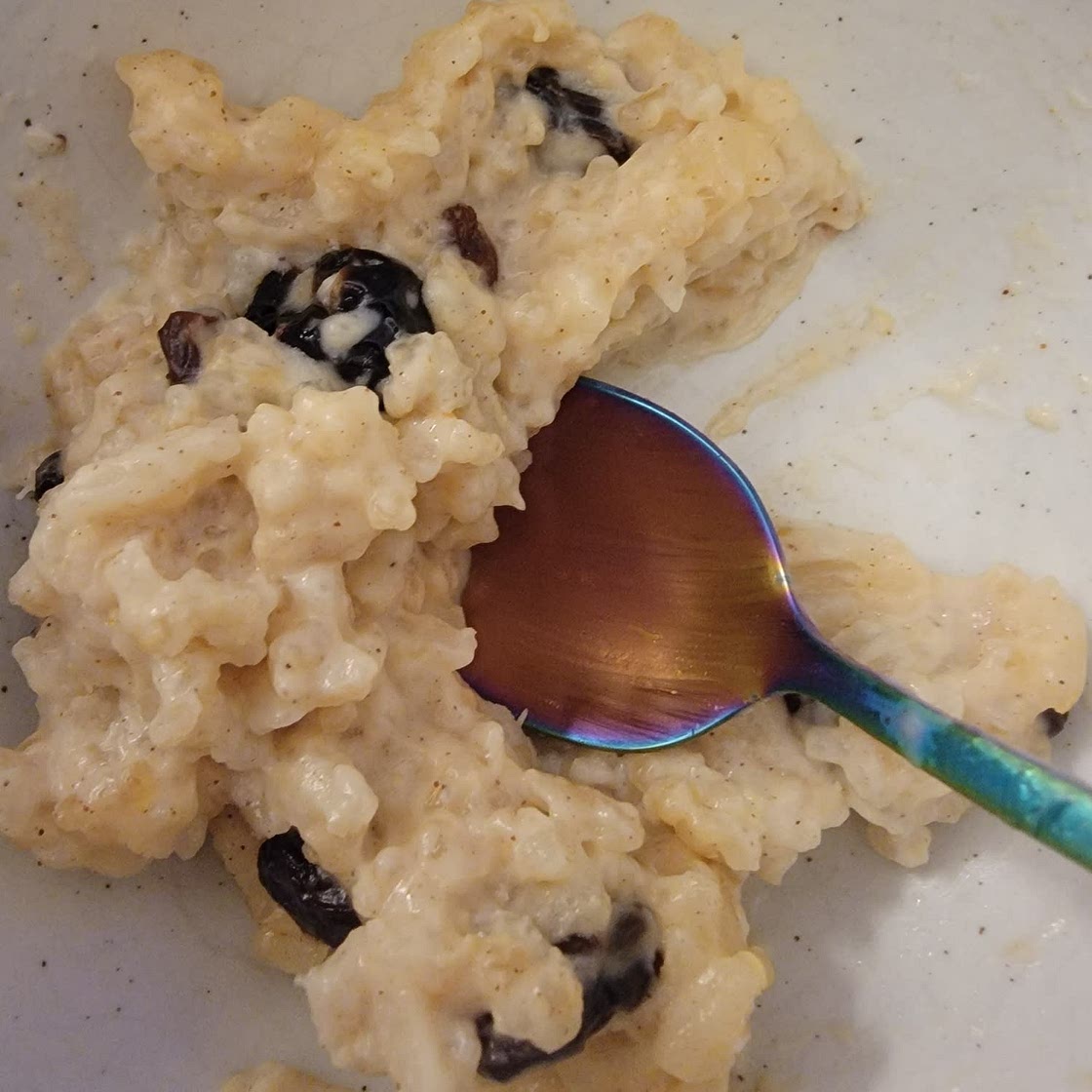 Rice Pudding with Cooked Rice