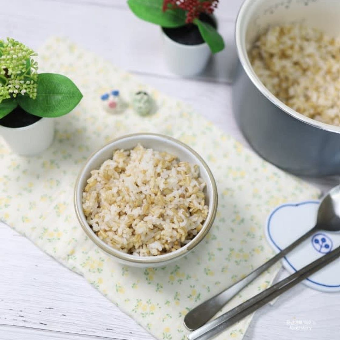 현미귀리밥짓기