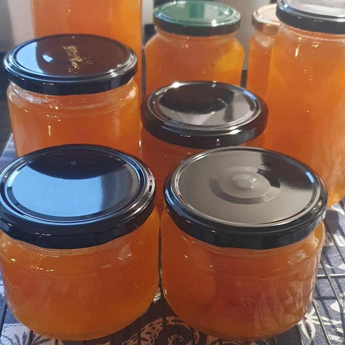 Traditional apricot jam