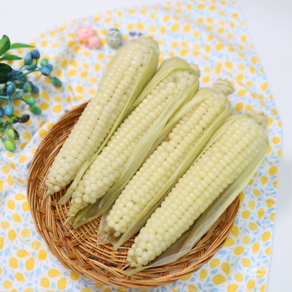 찰옥수수 삶는법