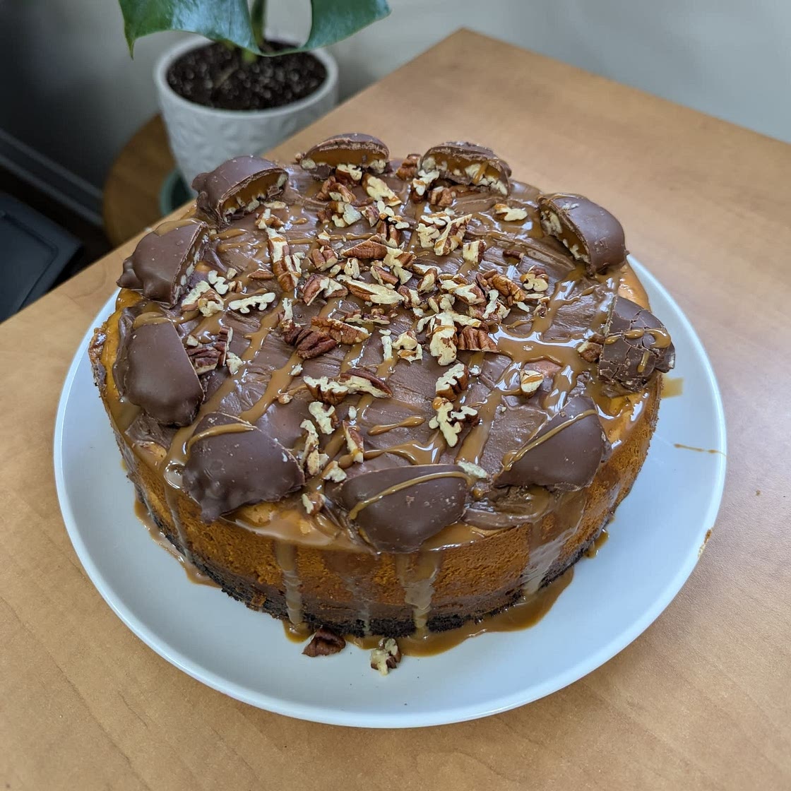 Turtle Cheesecake