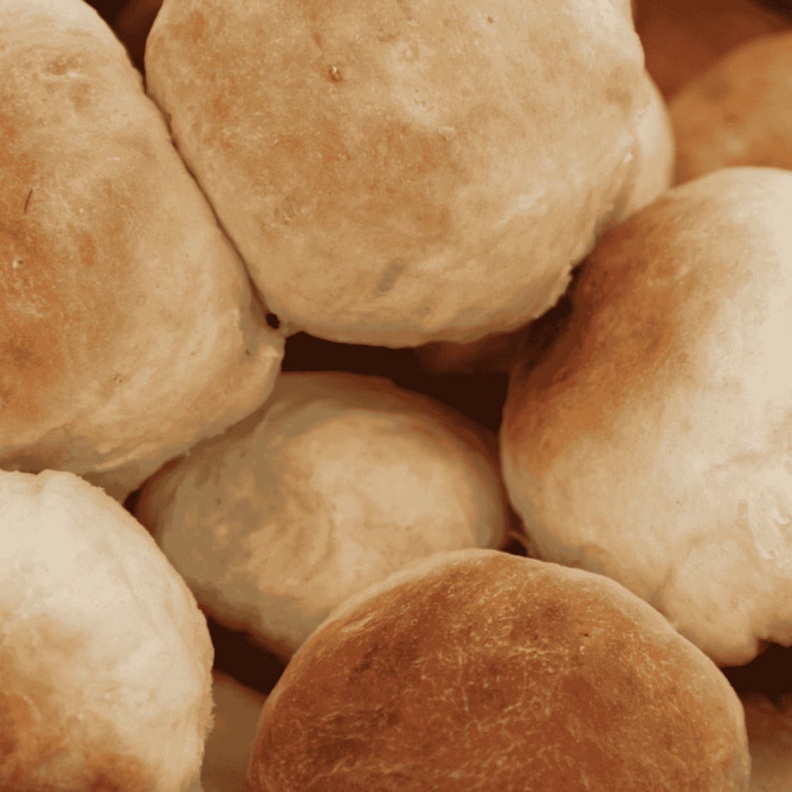 Chilean Kneaded Bread