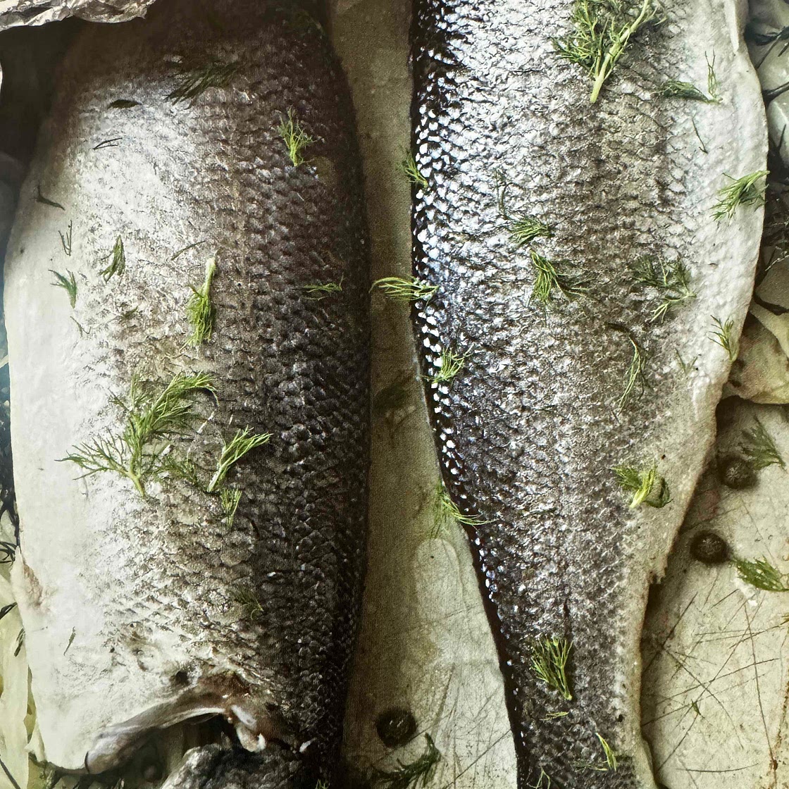 SEA BASS WITH FENNEL, LEMON, AND CAPERS