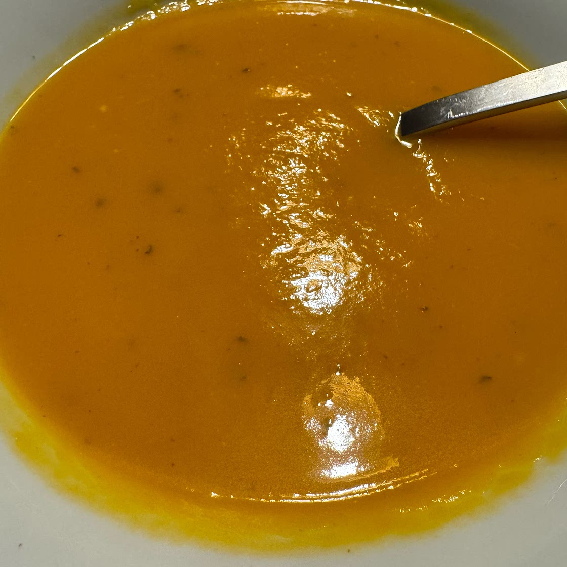 Tuscan Squash and Leek Soup