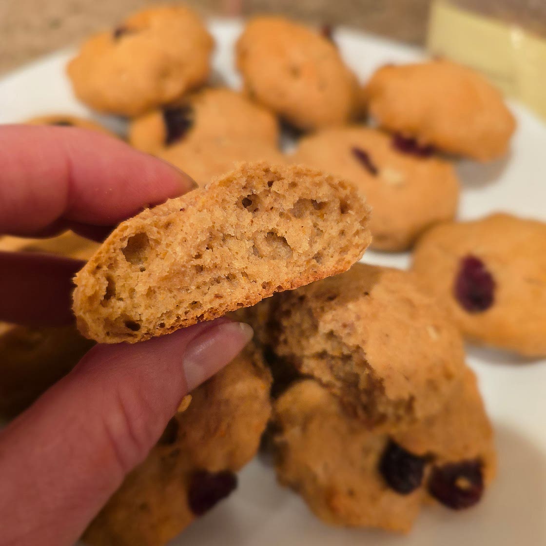 Soft Ricotta Cookies with Cranberries – A perfect treat