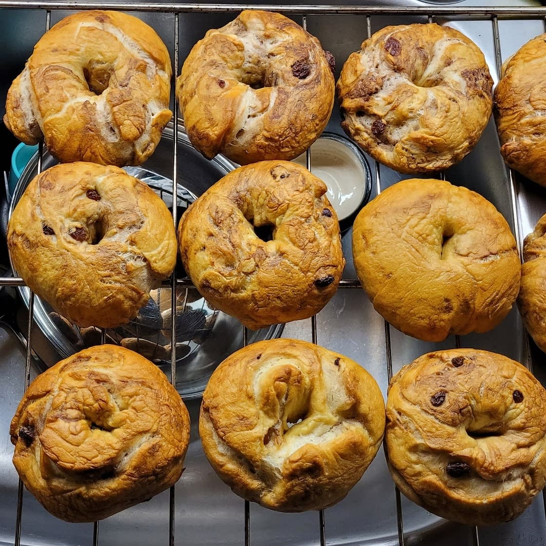 New York Bagels