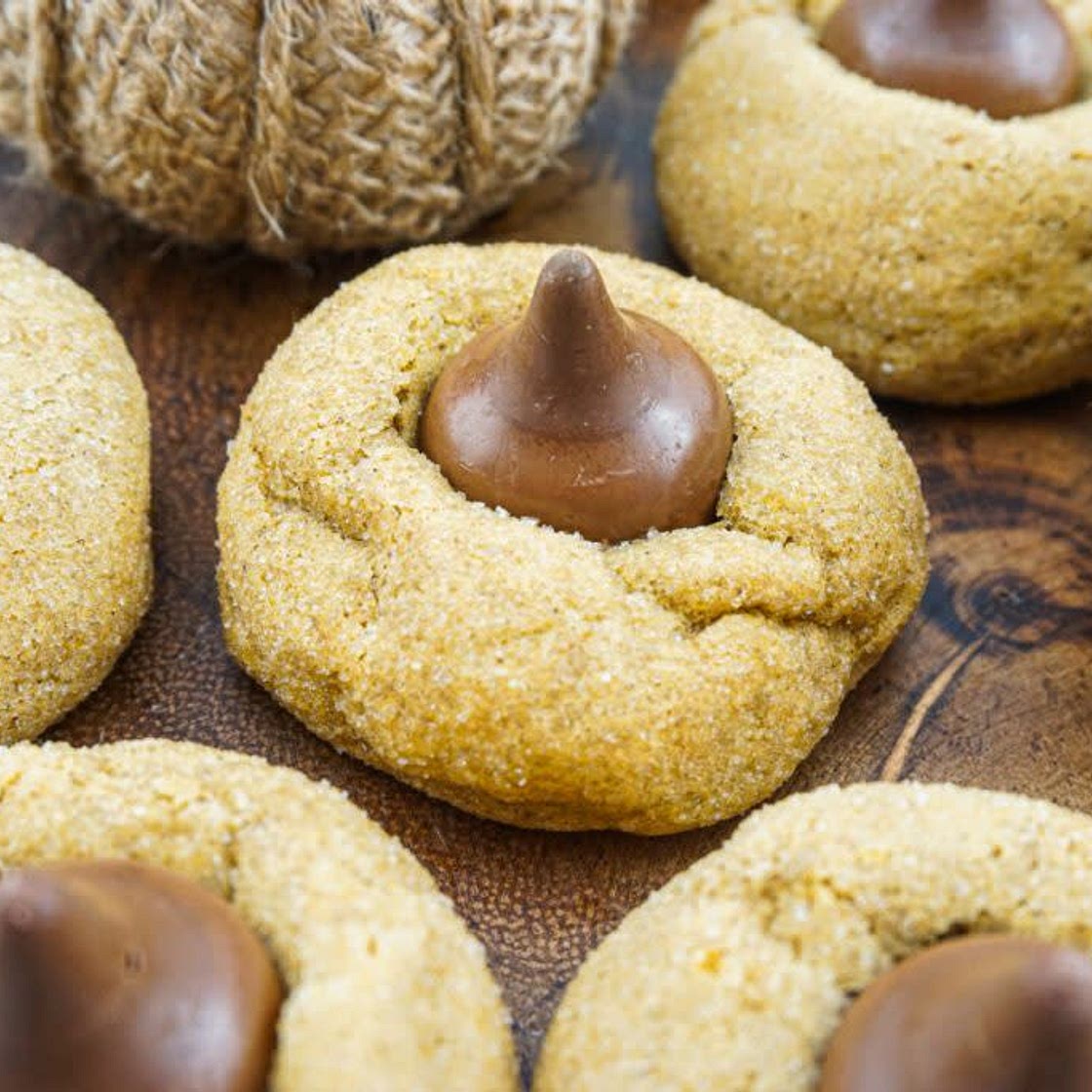 Pumpkin Spice Blossoms