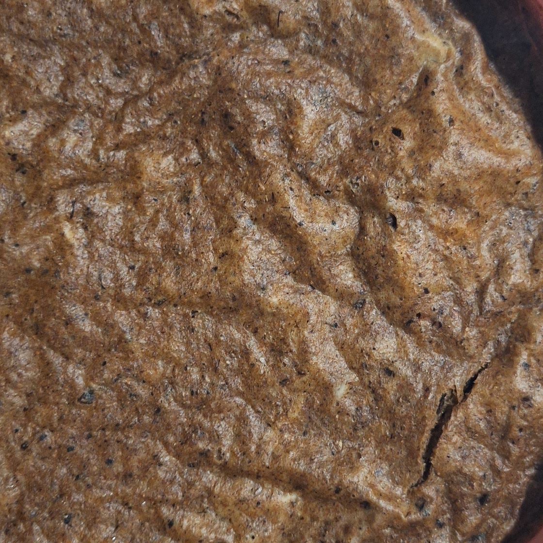 Egg with whole wheat flour