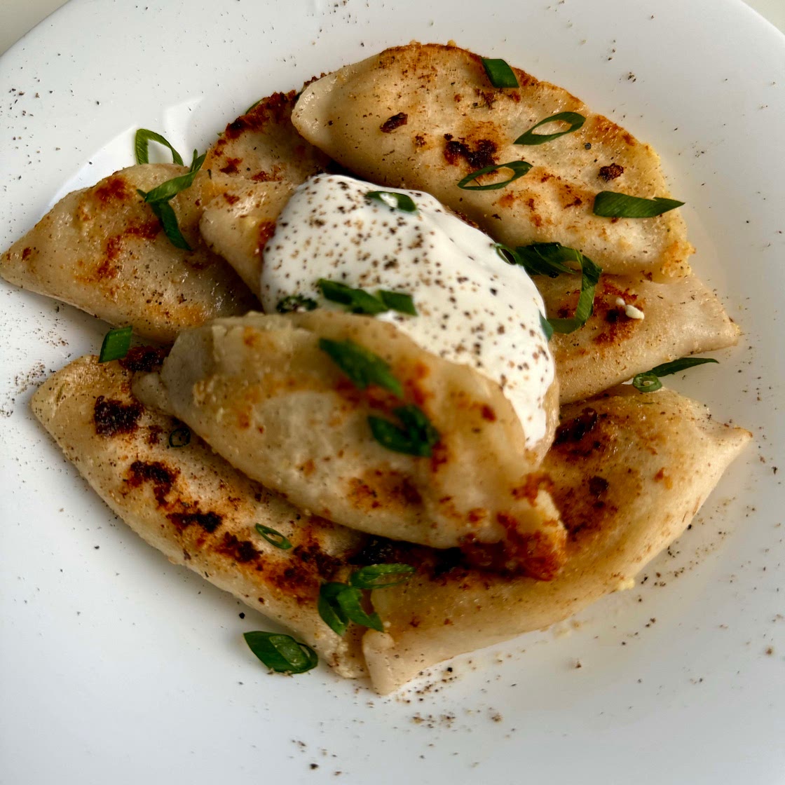 Pan Fried Cottage Cheese Dumplings