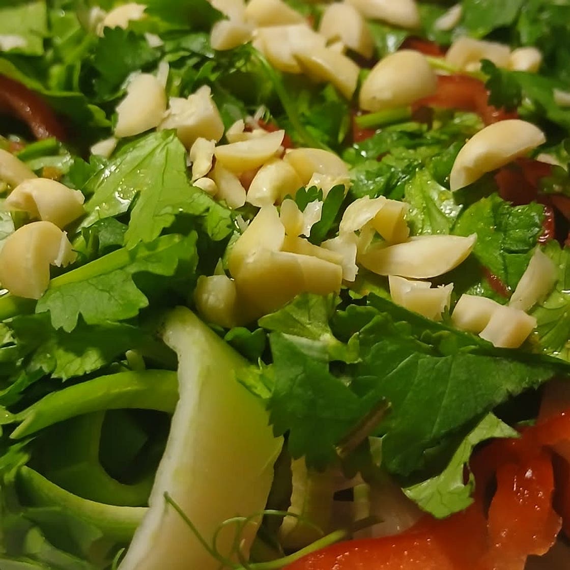 Pak Choy Salad with Coriander Lime Dressing